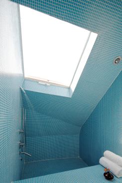 The master bath shower is also tucked beneath the offset ridgeline and brightened with an operable skylight.