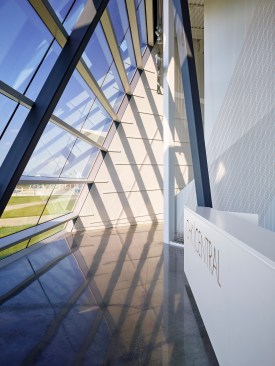 The main lobby has north facing glass. Late afternoon sun creates linear shadows that are referential to rowing, painting, and music (racing lanes, painted lines, and musical instrument strings).