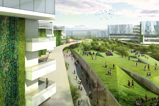 Sustainable+development+strategy+adopted+in+the+campus