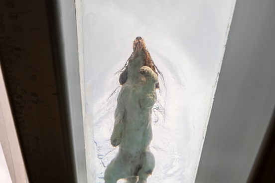 Serenity Indian Wells luxury modern desert home swimming pool floating glass bridge