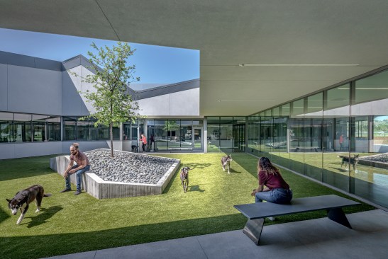An interior courtyard doubles as The Park, a place for people to meet adoptable pets. An adult native oak tree stands in the center to provide shade. Main turf is artificial grass with specialized drainage system underneath.