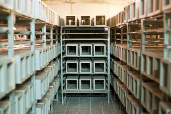 Prior to firing, which the factory typically limits to a once per piece, the formed clay awaits in a heated dryer to decrease its moisture content. These pieces are designed for a perforated screen wall for a private residence.