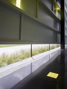 The afternoon sun projects ever-changing gold “notes” onto the floor. “Notes” appear, move, change and disappear during the day capturing the kinetic energy within the space. The glass at the floor line suggests the building is buoyant.