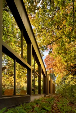 Ledding Library