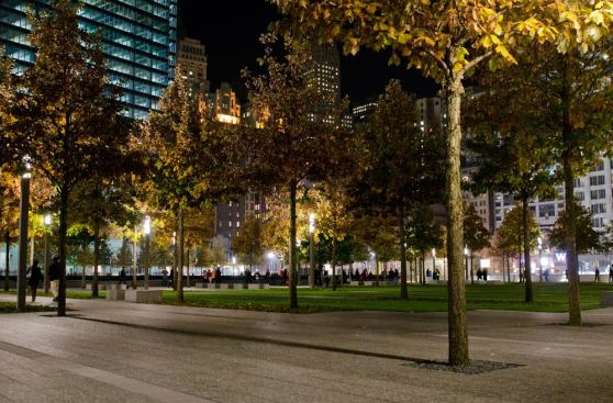 Initially, city officials wanted the plaza to meet a minimum of 5 footcandles per square foot. However, after extensive study and site visits to other parks throughout the city, the lighting design team was able to show, based on their collected data, that this amount was excessive and that 0.5 footcandles would provide enough illumination.
