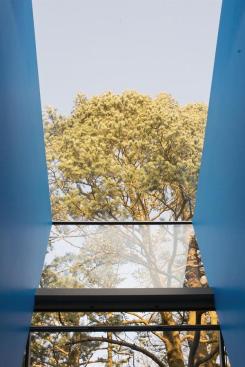 A new dormer with a glass front and ceiling gazes up into a pine tree. 