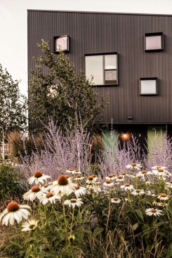 Perennial plantings provide dynamic landscaping throughout the year with something always in bloom.