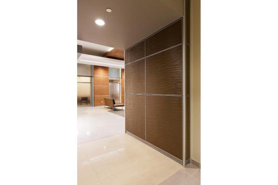 LEVELe Wall System with Capture panels; insets in Bonded Bronze with Natural Patina and Kalahari pattern at Princeton Medical Arts Pavilion, Plainsboro, New Jersey
