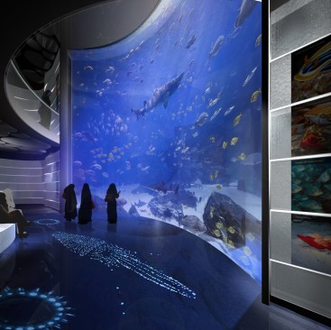View+of+Arabian+Gulf+Tank%2c+KAFD+National+Aquarium