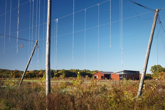 View from the organic hop fields. 