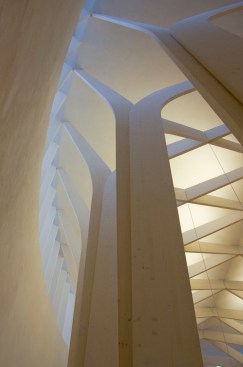 Interior+structure+detail.