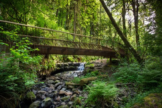 Lower Macleay Trail Bridge