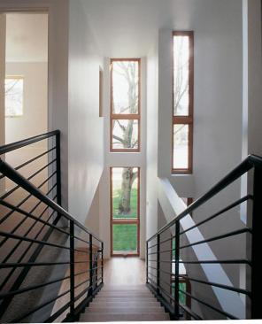 Precisely placed glazing controls views and draws light through the airy interiors.