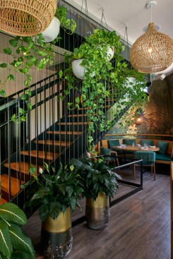 Buena Vida by CORE architecture + design