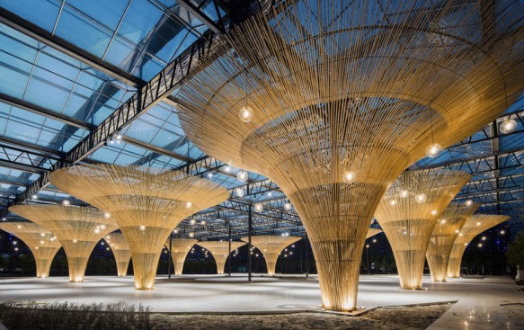 Bamboo umbrella and starry sky in Multi-function Hall