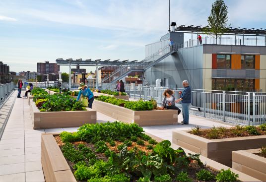 Another rooftop has planters for beds of fruits and vegetables.