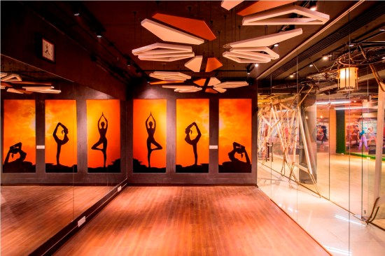 STUDIO INTERIORS
View inside a typical studio with hanging metal structures form the ceiling