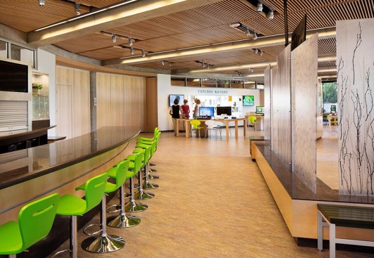 The+laboratory+in+the+Discovery+Center+allows+children+to+perform+experiments+to+learn+about+life+sciences+in+a+hands-on+manner.+The+counter+provides+a+front+row+seat+for+each+experimenter.+