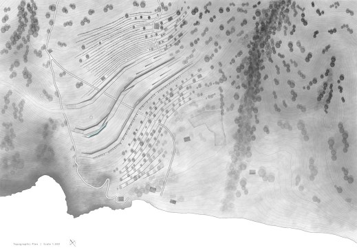 Topographic Plan