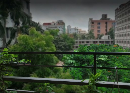 Front Veranda intermingles with the Nature and Green.
