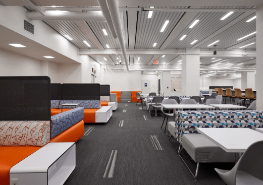 Lounge and Study Area