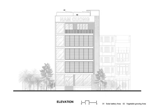 Elevation