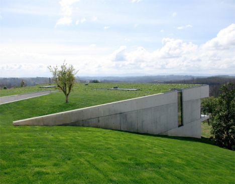 Concrete house green roof
