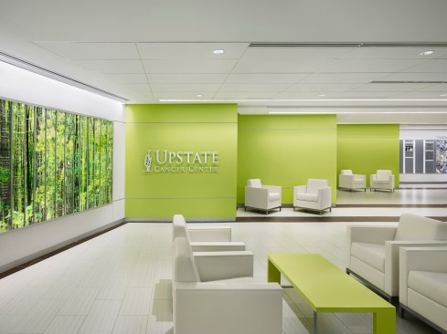 Connector / Donor Wall