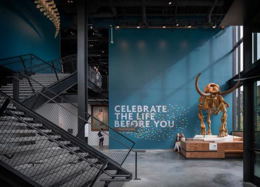 The Burke Museum | Olson Kundig