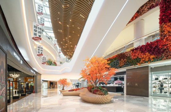 Autumn – East Wing