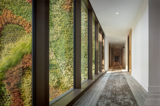 View of the living wall from inside the building