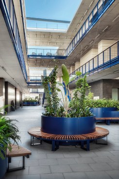 Internal courtyard