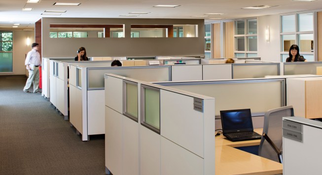 The open office with low panels allows for quick communication and copious natural light