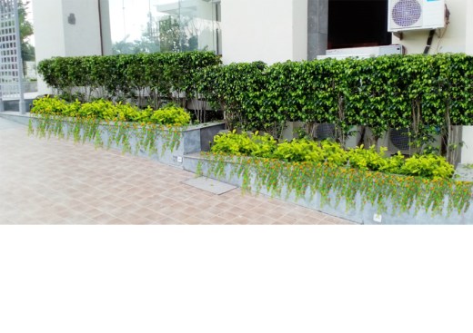 Ramp with Stepped Planter