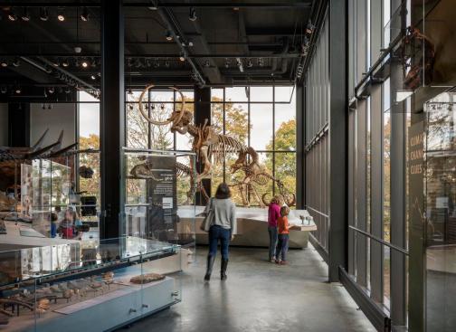 The Burke Museum | Olson Kundig