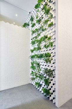 Living wall in first-floor entry