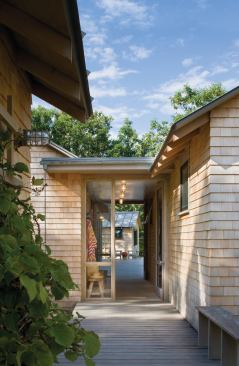 The entry gives a glimpse of the boardwalk, which leads all the way to the painting studio at the back of the property.