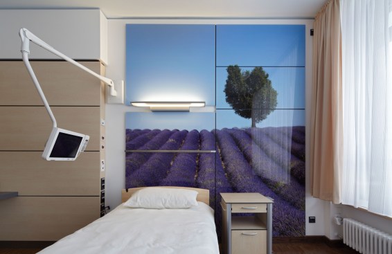 A+luxury+private+room.+Each+luxury+room+has+a+large-format+photo+as+a+headwall.+Each+photo+is+different%2c+but+all+feature+vast+scenes+of+landscapes.