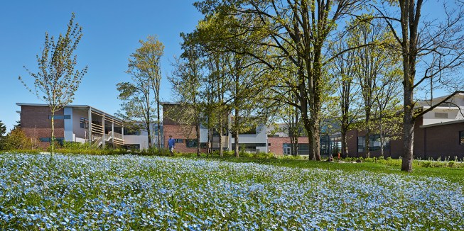 Carl Sandburg Elementary School. Kirkland, Washington
by NAC|Architecture