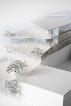 Model+-+landscaped+terraces.