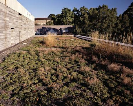 A green roof aids in stormwater management and helps cool the buildings.