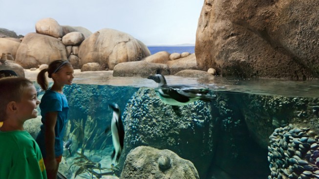 Children with penguins