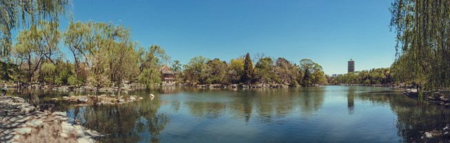 Peking University