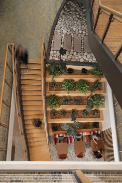 Communicating stair with a landing large enough for focus work or collaboration surrounded by plantings