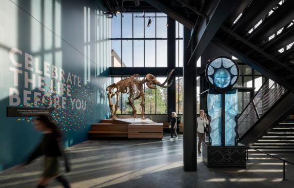 The Burke Museum | Olson Kundig