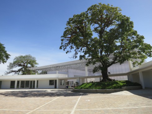 A majestic oak tree frames the entry