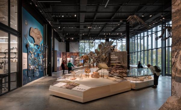 The Burke Museum | Olson Kundig