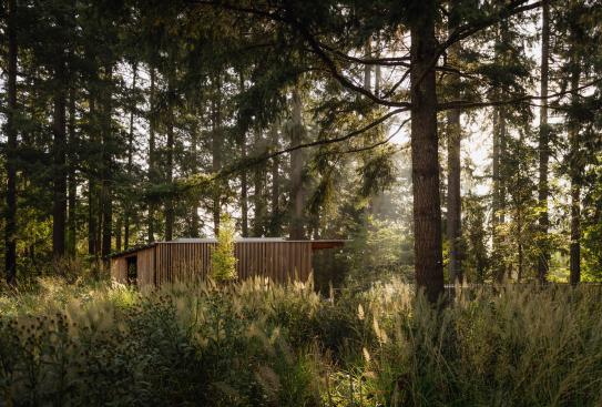 Leach Botanical Garden - The Upper Garden | Olson Kundig