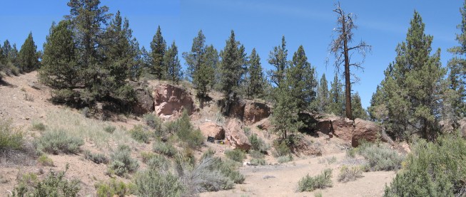 Pre-construction Site Photo