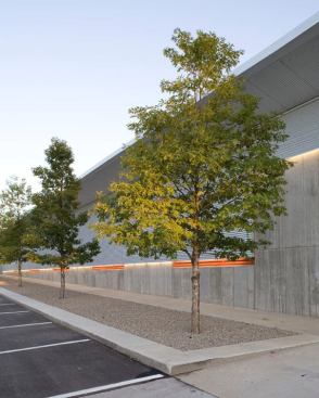Looking east from loading dock area, a detail of the sidewalk lighting system and louvered ventilation system.
